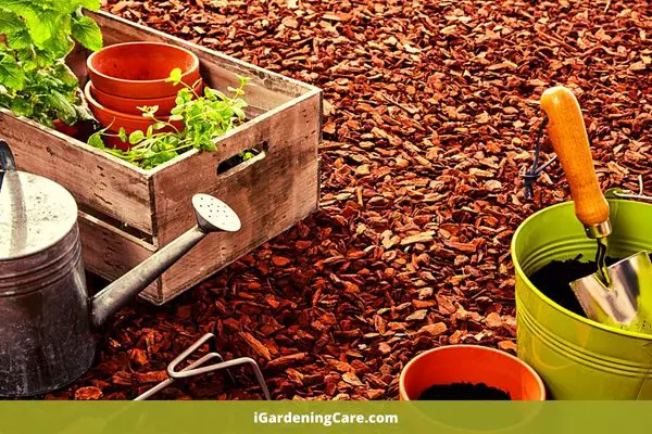 Are Dead Leaves Good For Potted Plants